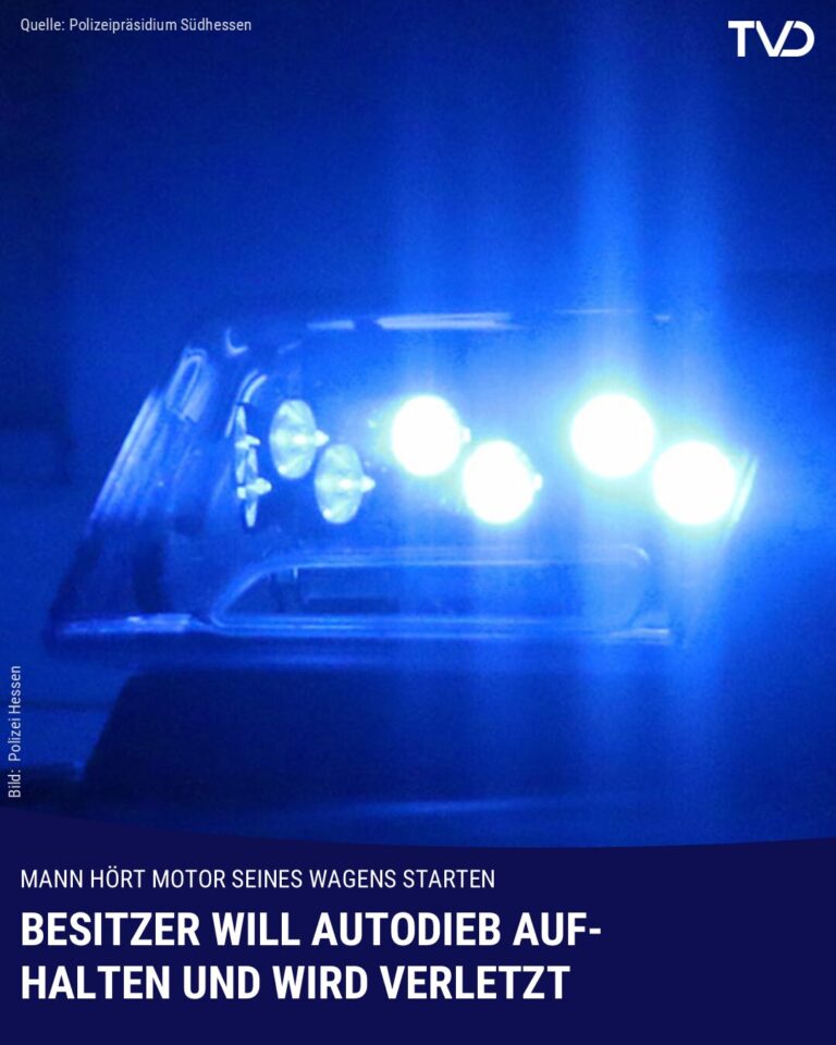 Besitzer will Autodieb aufhalten und wird verletzt