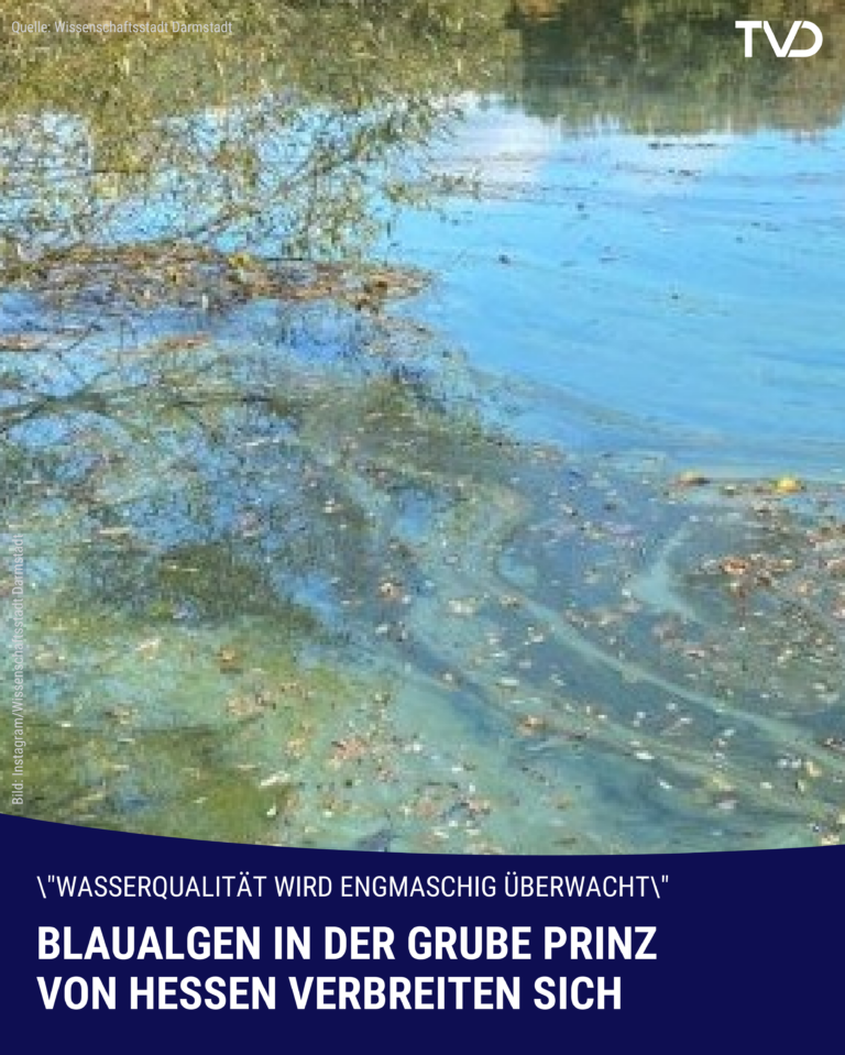 Blaualgen in der Grube Prinz von Hessen vermehren sich: Aufmerksamkeit erhöht