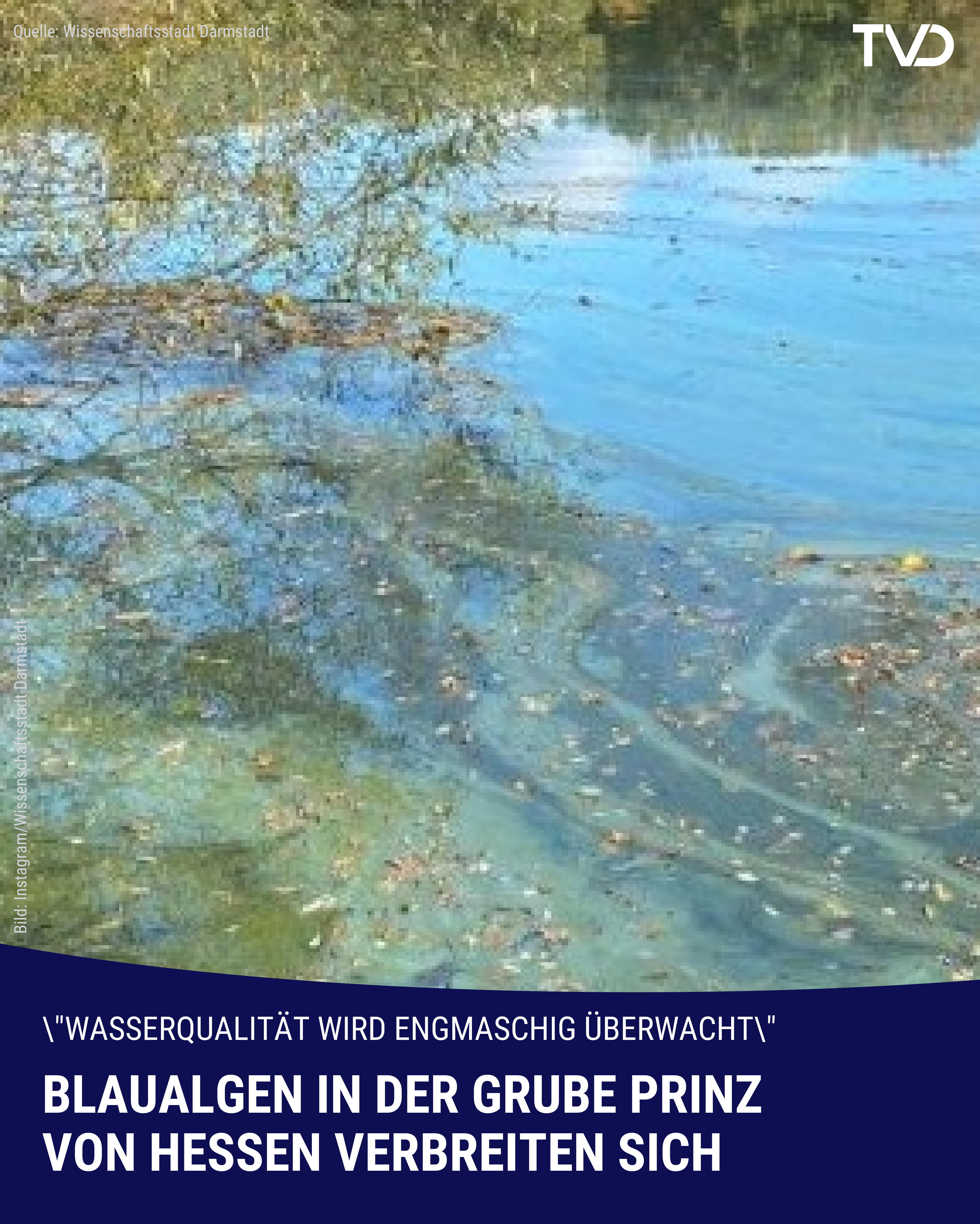 Blaualgen in der Grube Prinz von Hessen vermehren sich: Aufmerksamkeit erhöht