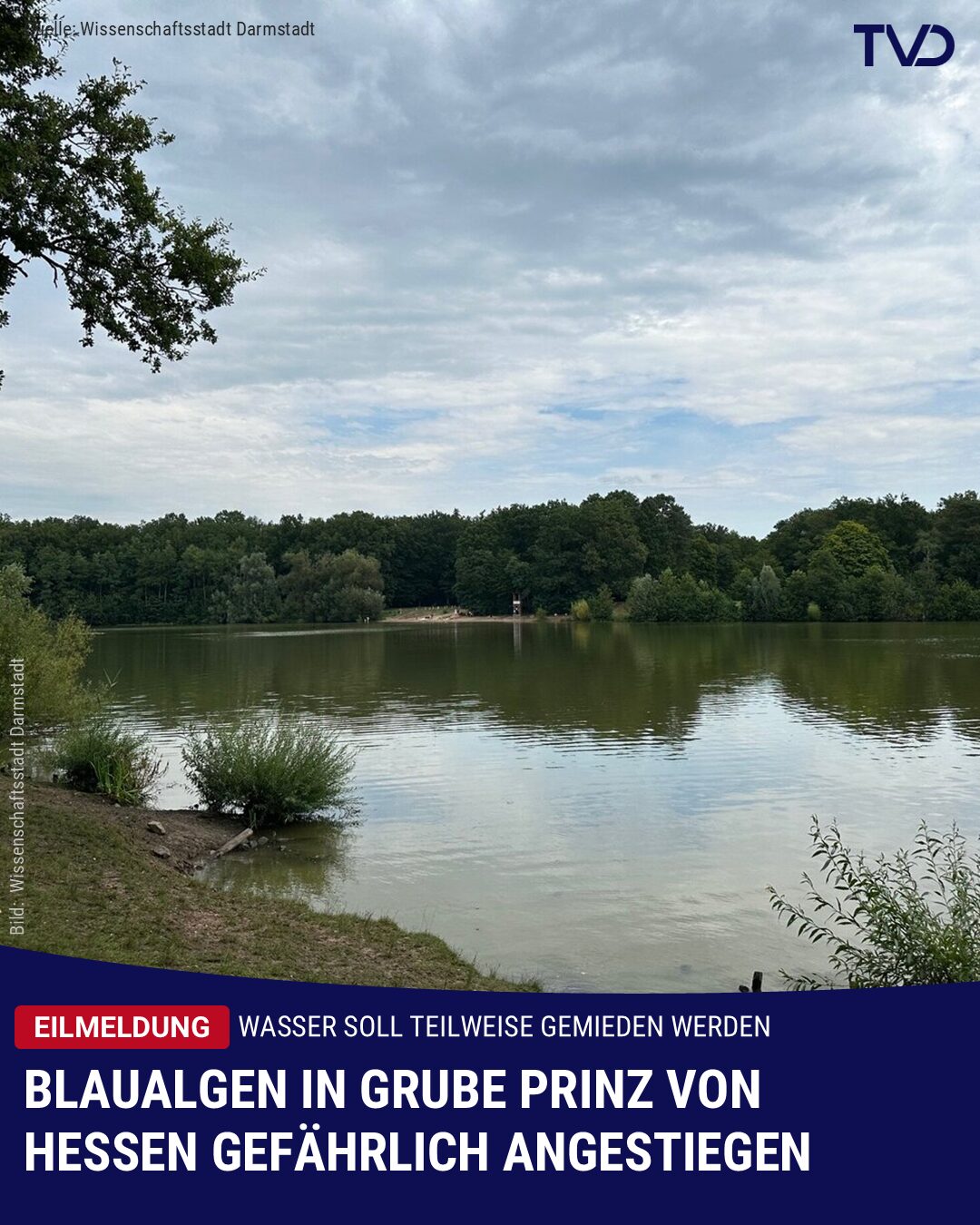 Blaualgen in der Grube Prinz von Hessen vermehren sich gefährlich