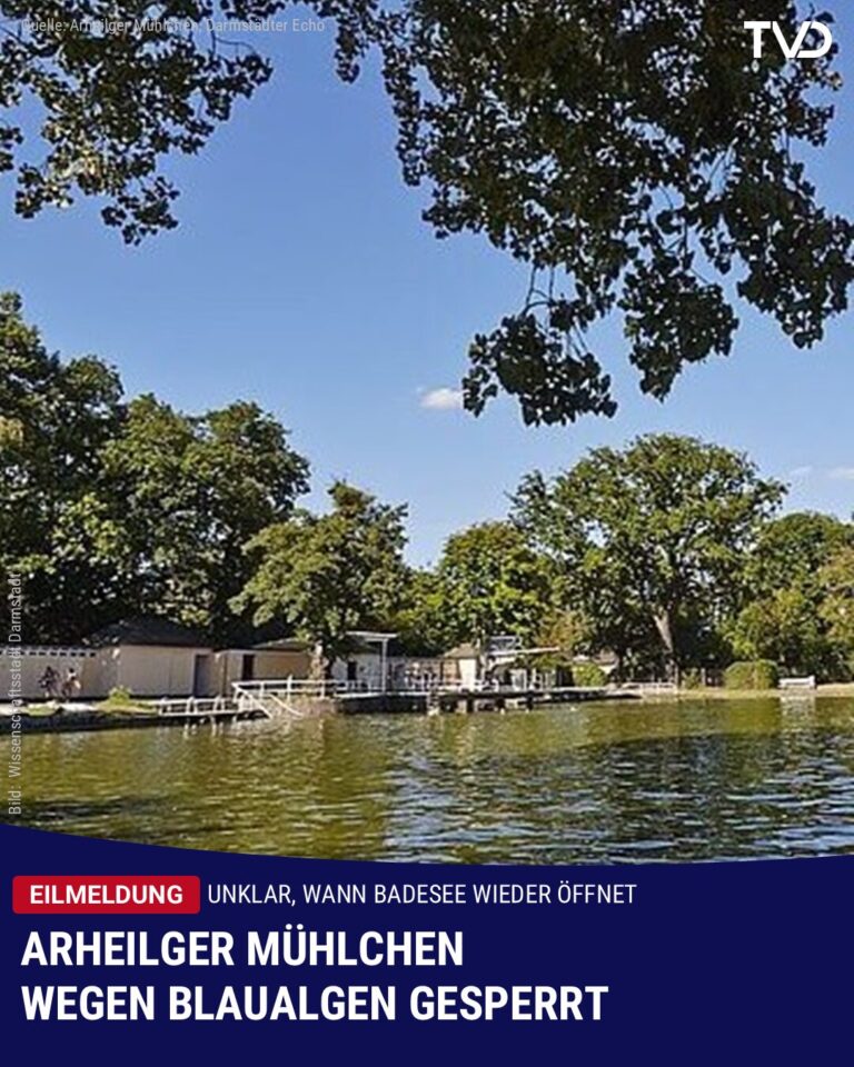 Arheilger Mühlchen wegen Blaualgen gesperrt