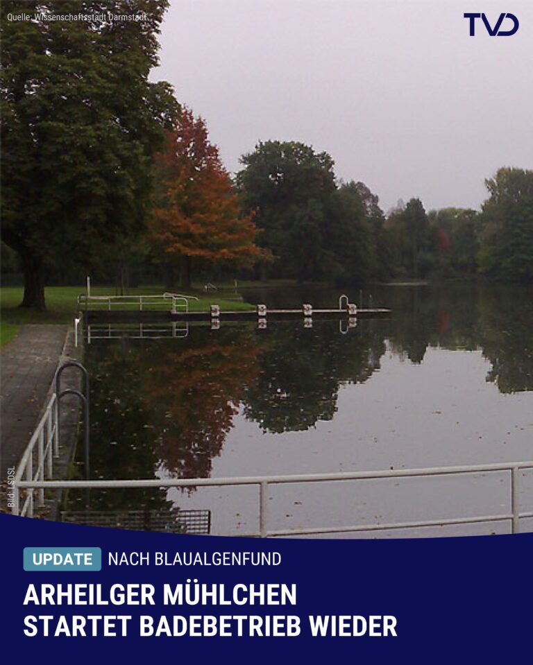 Nach Blaualgenfund: Arheilger Mühlchen wieder geöffnet