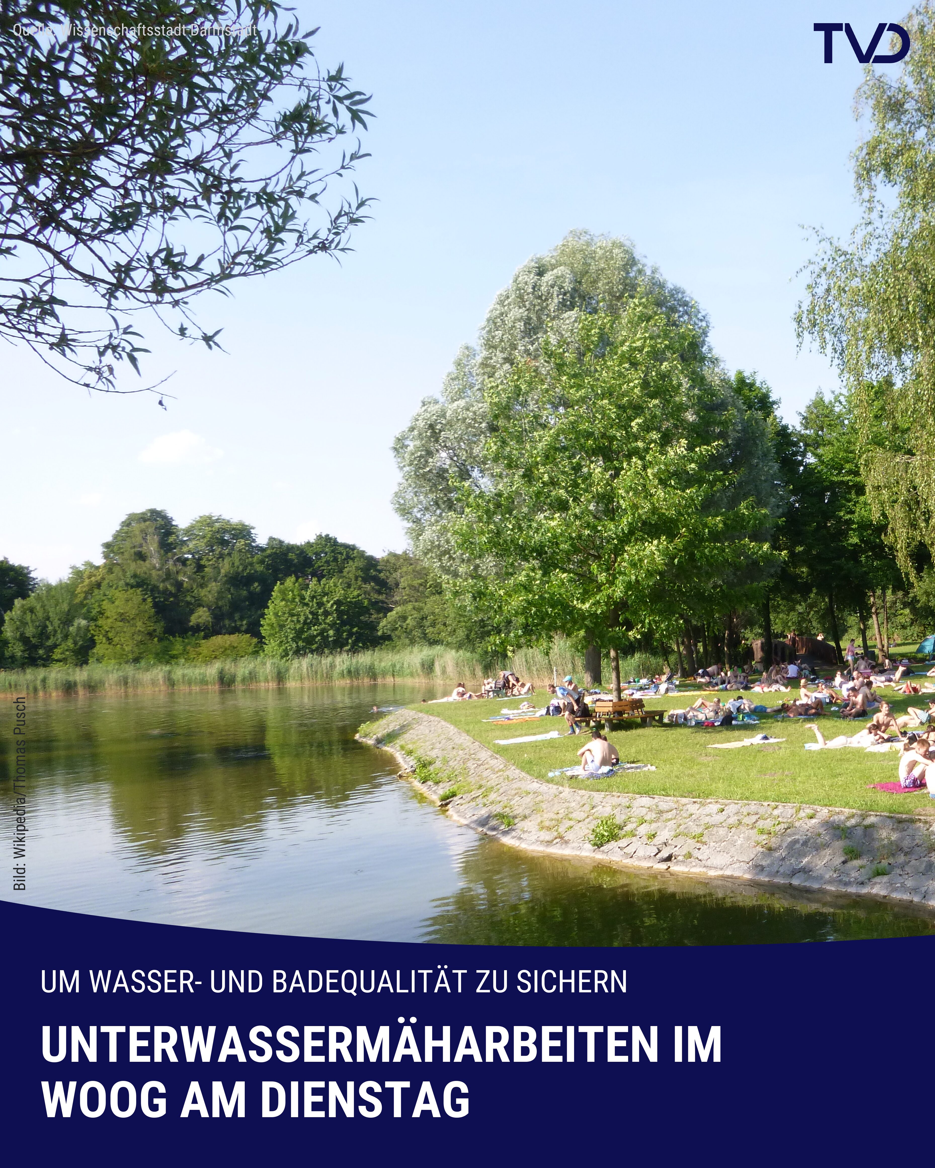 Mäharbeiten im Woog