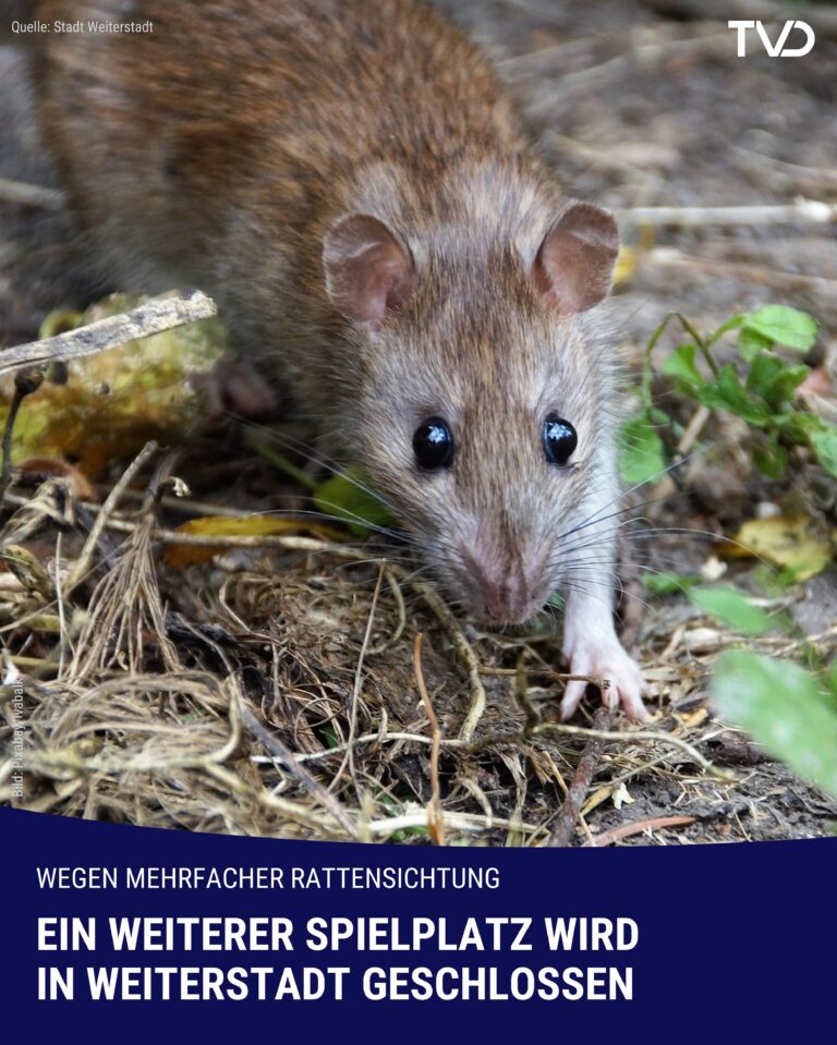 Spielplatz nach Rattenbefall in Weiterstadt geschlossen