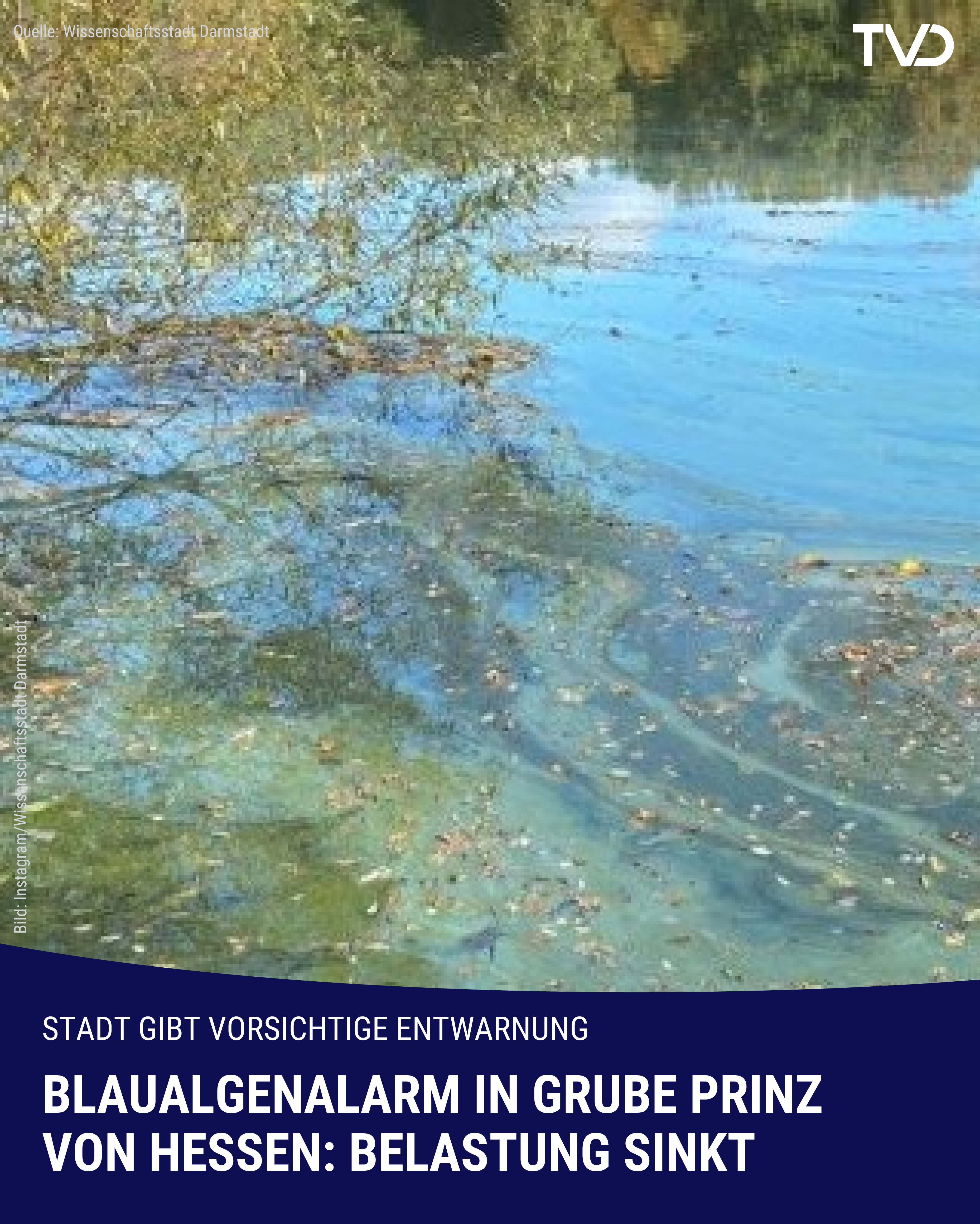 Blaualgen in Grube Prinz von Hessen: Stadt gibt vorsichtige Entwarnung