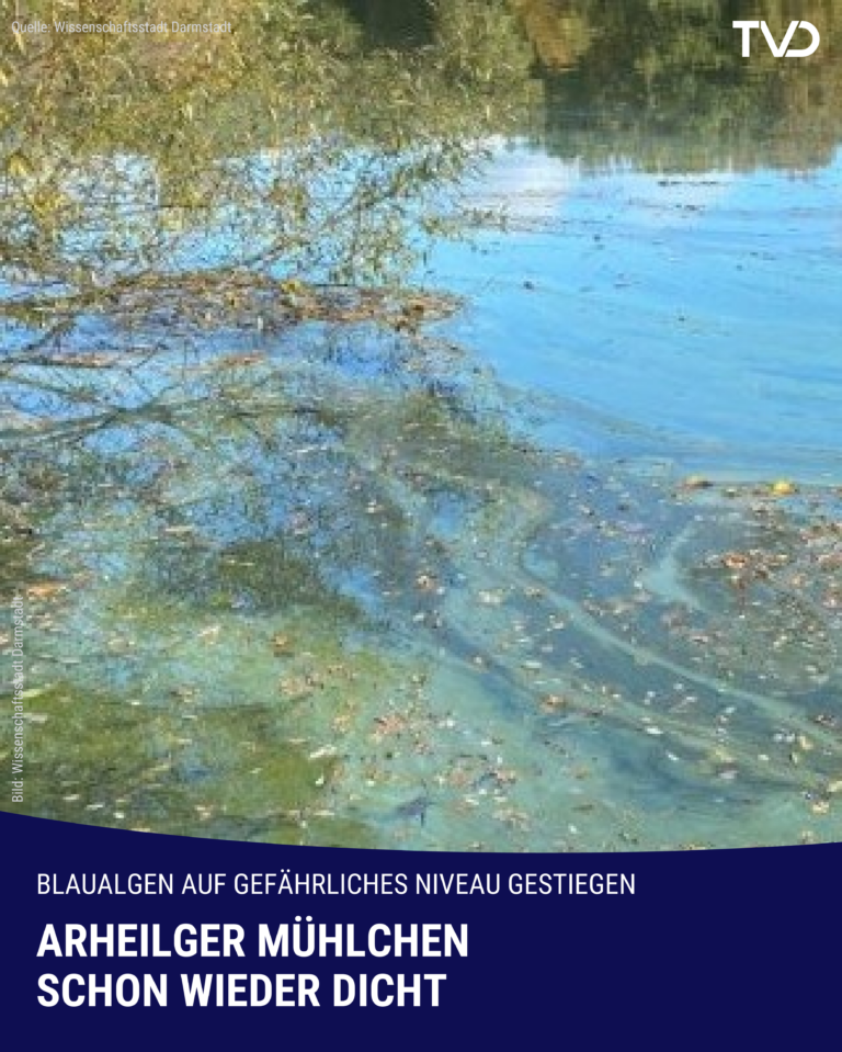 Arheilger Mühlchen schon wieder wegen Blaualgen dicht