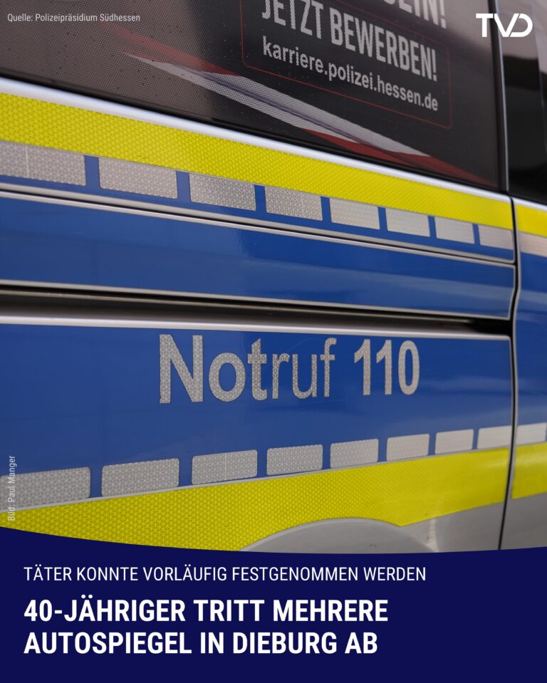 Mehrere Autospiegel in Dieburg abgetreten
