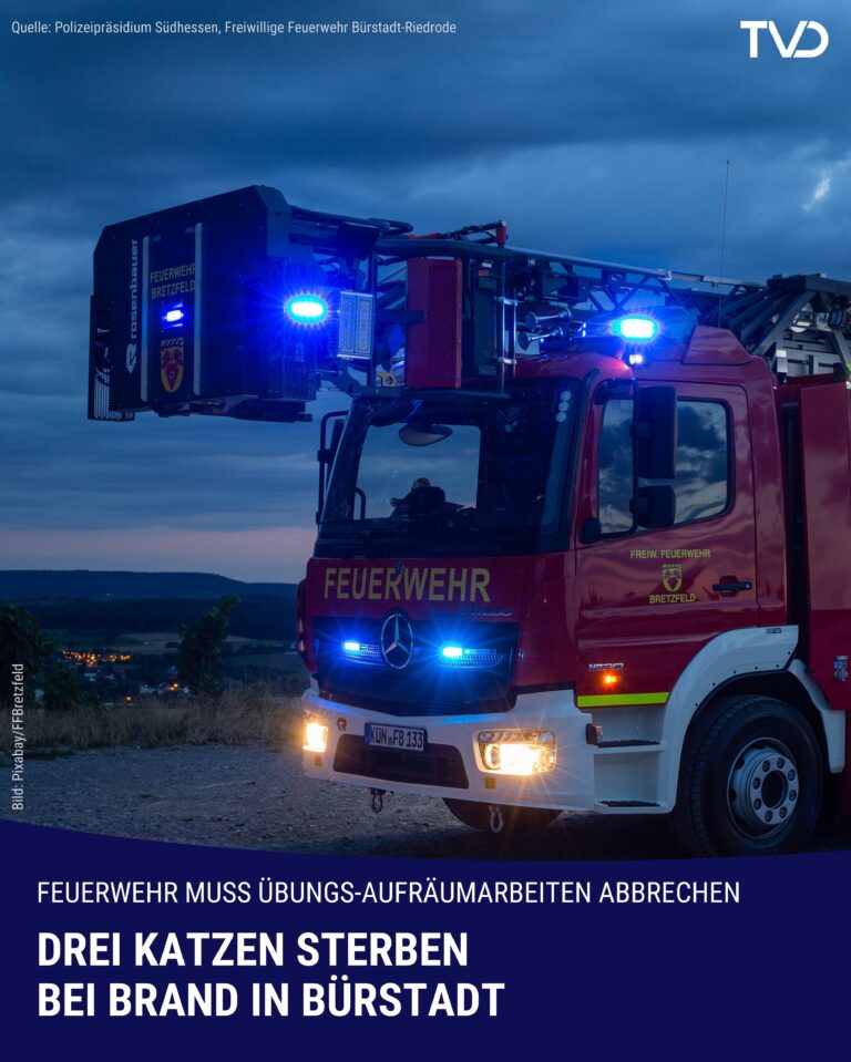 Drei Katzen bei Brand in Bürstadt ums Leben gekommen