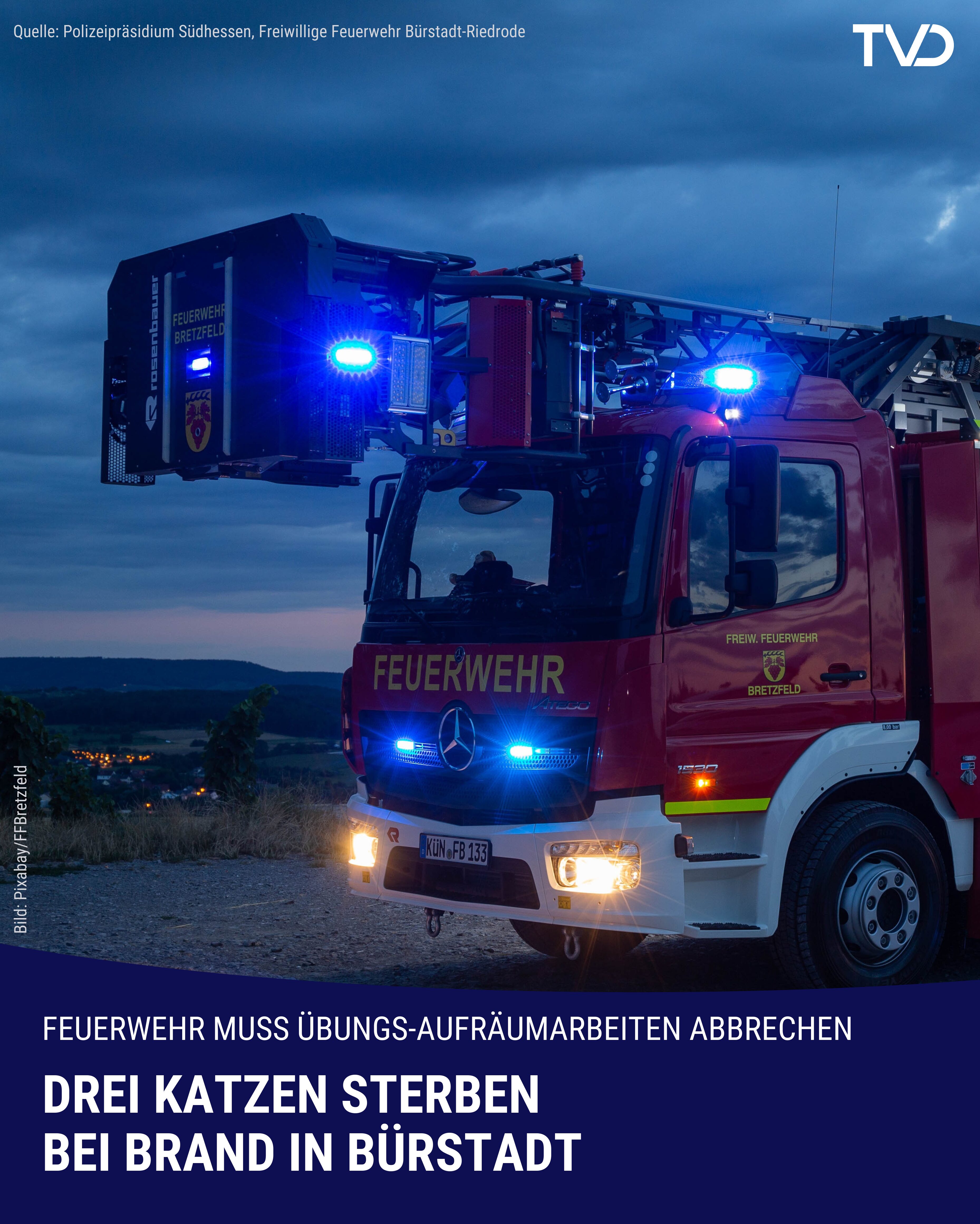 Drei Katzen bei Brand in Bürstadt ums Leben gekommen