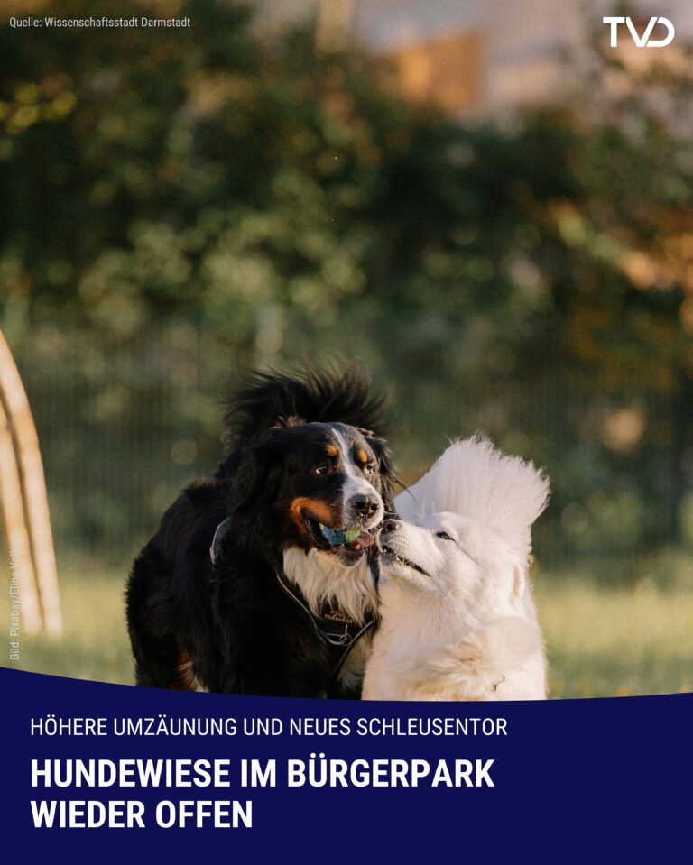 Hundewiese im Darmstädter Bürgerpark wieder geöffnet