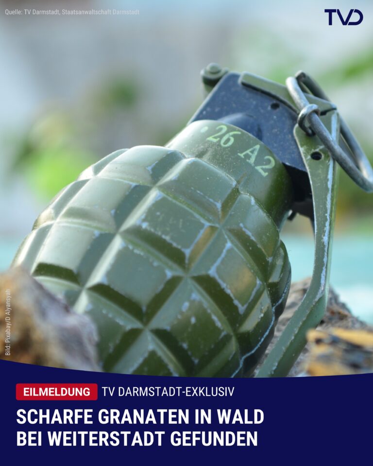 Scharfe Granaten im Wald bei Weiterstadt gefunden