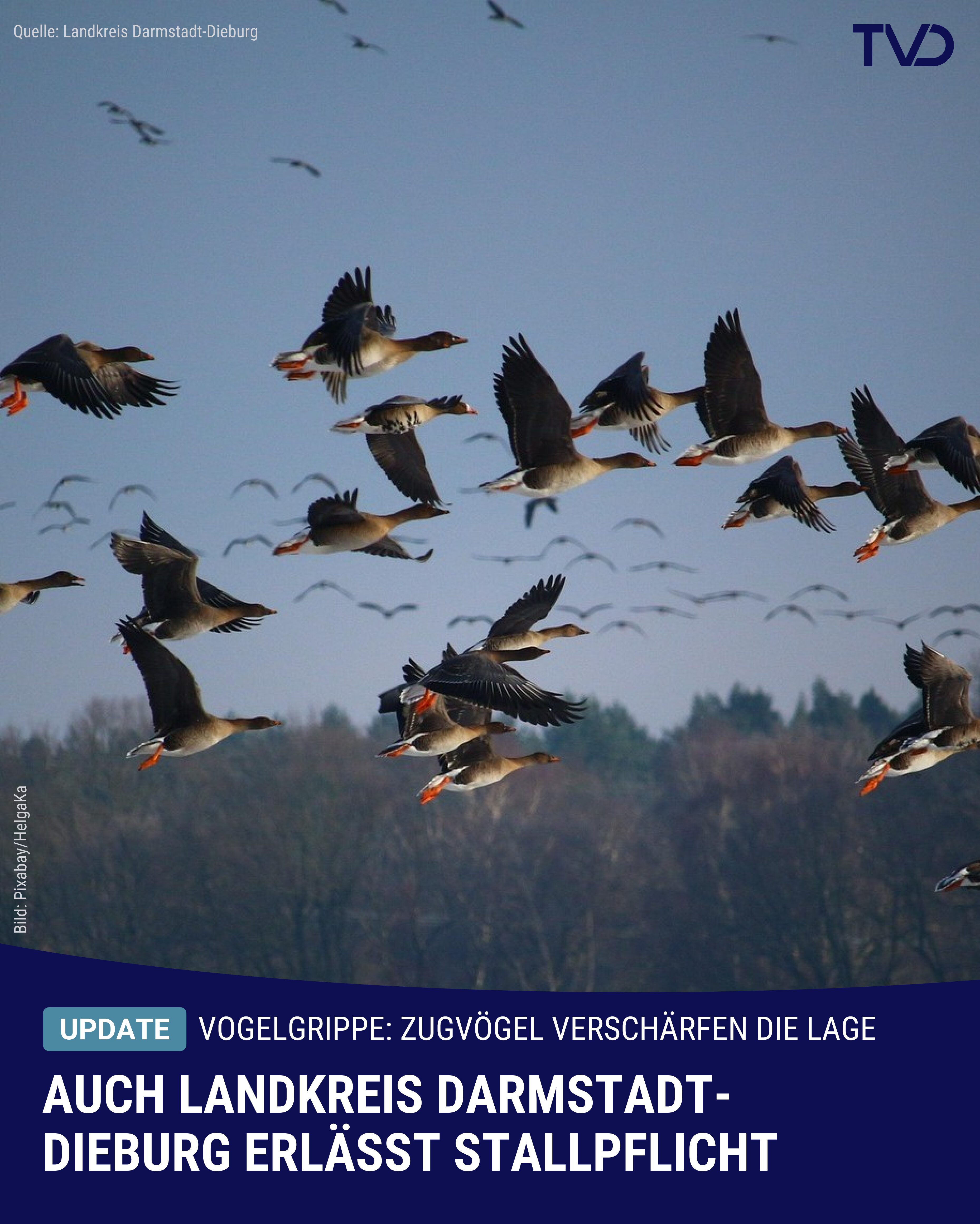 Auch Landkreis Darmstadt-Dieburg erlässt Stallpflicht für Geflügel