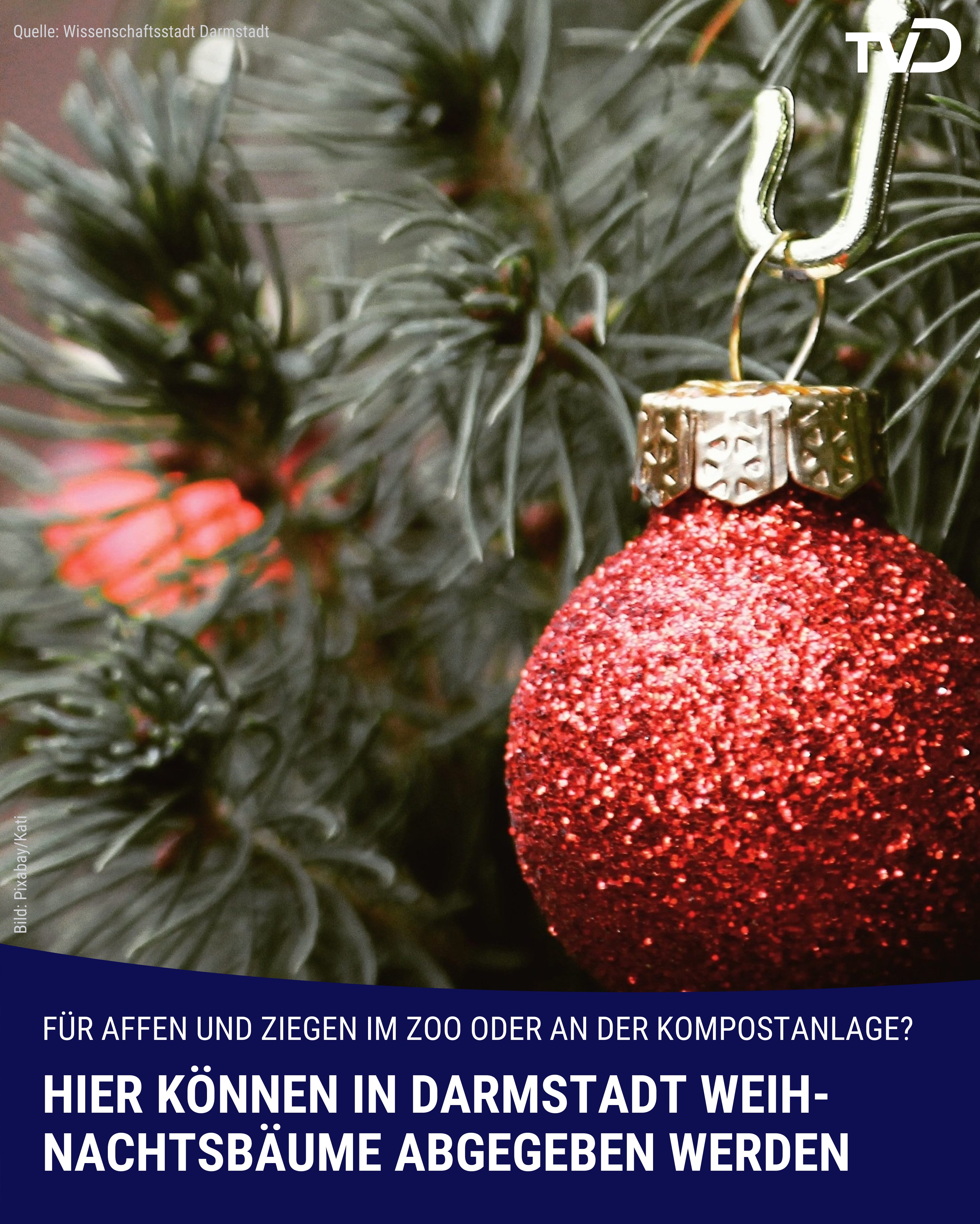 Hier können in Darmstadt Weihnachtsbäume abgegeben werden